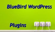 BlueBird Blog Audio Posts | WordPress pluginsThe BlueBird WordPress Plugins. I show you mine...