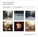 The BlueBird WordPress Plugins | Instagram image gallery