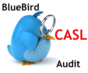 CASL Audit