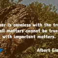 Trust Quote Einstein